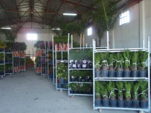 ΦΥΤΩΡΙΟ ΜΟΥΛΚΙ ΚΙΑΤΟ ΚΟΡΙΝΘΙΑ ΑΝΑΣΤΑΣΟΠΟΥΛΟΣ Α.ΚΑΙ ΣΙΑ ΕΕ