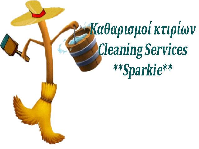 SPARKIE ΣΥΝΕΡΓΕΙΟ ΚΑΘΑΡΙΣΜΟΥ ΚΑΘΑΡΙΣΜΟΣ ΧΩΡΩΝ ΚΤΙΡΙΩΝ ΝΕΑ ΙΩΝΙΑ ΣΚΟΛΙΔΟΥ ΚΩΝΣΤΑΝΤΙΝΑ