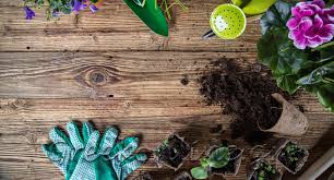 ΓΕΩΡΓΙΚΑ ΕΦΟΔΙΑ ΚΑΛΛΙΕΡΓΩΝΤΑΣ ΑΥΛΩΝΑΣ ΑΤΤΙΚΗ ΠΑΝΤΟΣ ΑΡΗΣ