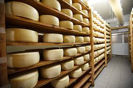 ΤΥΡΟΚΟΜΕΙΟ ΤΥΡΟΚΟΜΙΚΑ ΠΡΟΪΟΝΤΑ ΣΤΑΝΟΣ ΑΜΦΙΛΟΧΙΑ ΓΕΩΡΓΙΟΥ ΓΕΩΡΓΙΟΣ ΚΑΙ ΣΙΑ ΟΕ